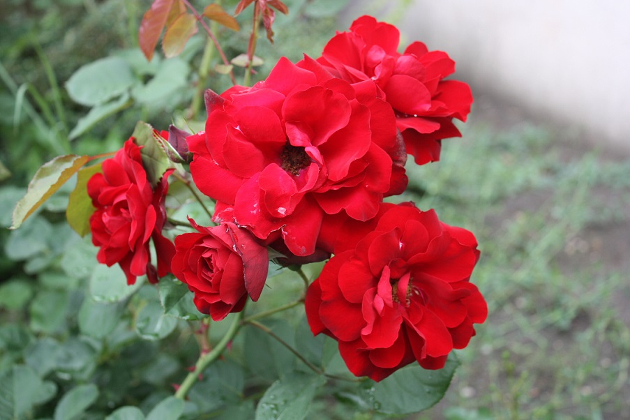Болгария отели_2012 686.jpg